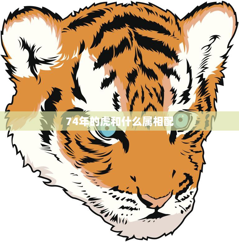74年的虎和什么属相配(如何选择最佳配偶)
