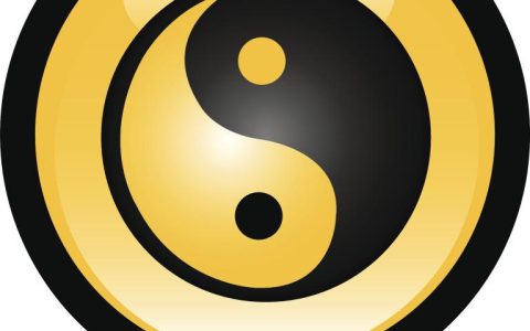 星座上升怎么查才最准确(掌握这些技巧解读你的命盘)