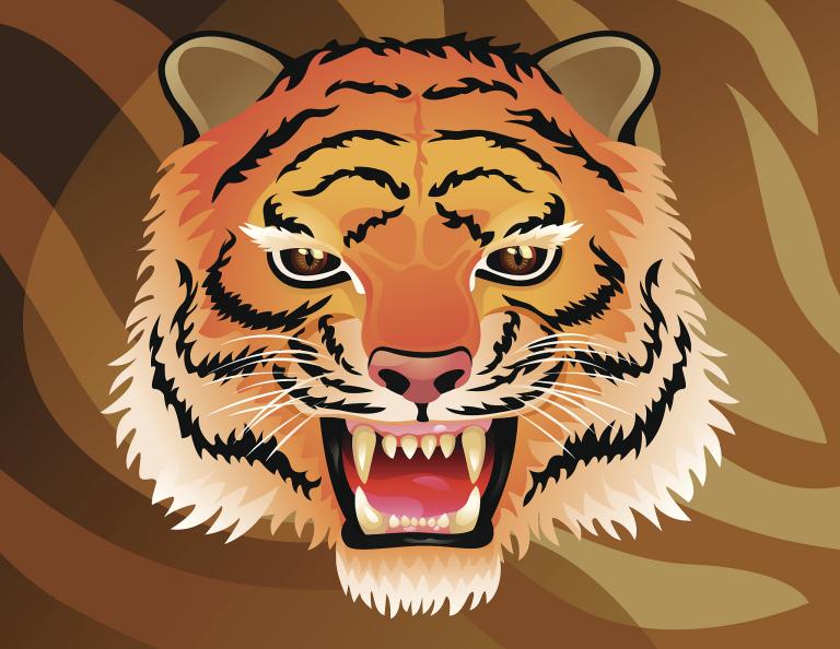 属虎人的最佳婚配属相男(如何选择)