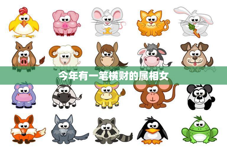 今年有一笔横财的属相女(如何抓住机会实现财富自由)