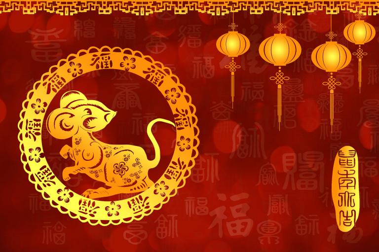 2023年出生属相什么(探寻未来的生肖之路)