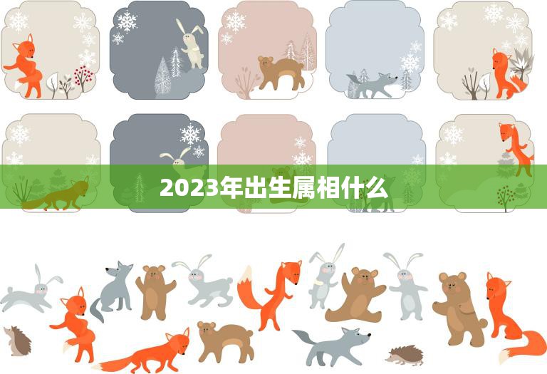 2023年出生属相什么(探寻未来的生肖之路)