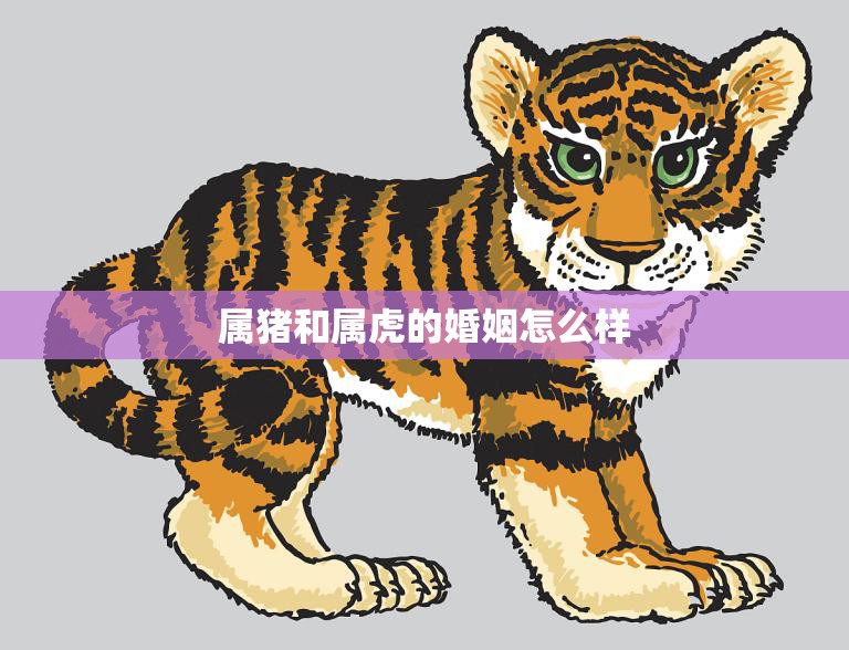 属猪和属虎的婚姻怎么样(如何避免磨合期)