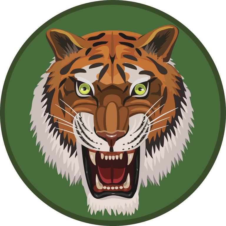 属虎男今天的运势如何看(幸运星座指南)