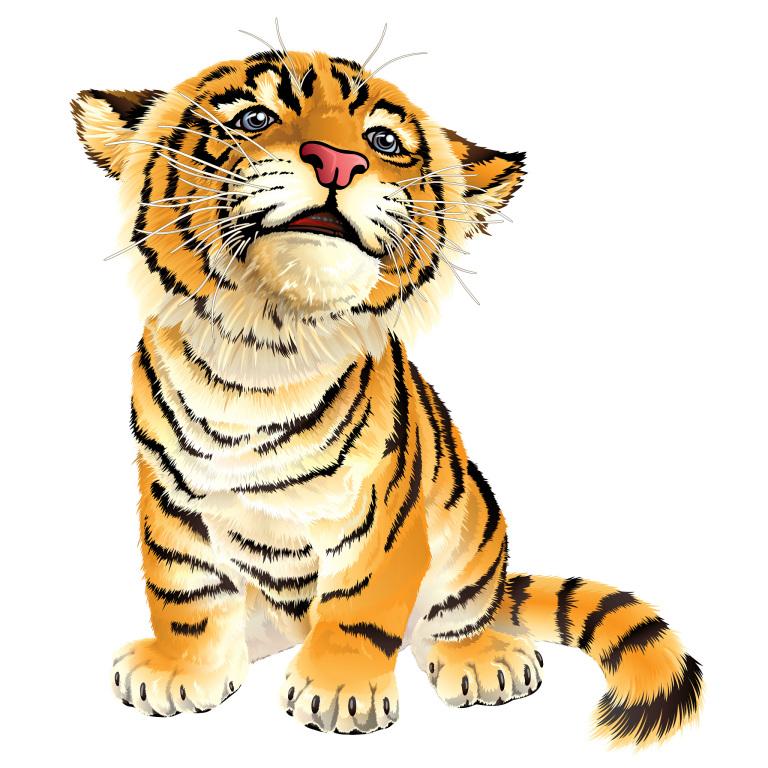 属虎不能和什么属相结婚(禁忌大揭秘)