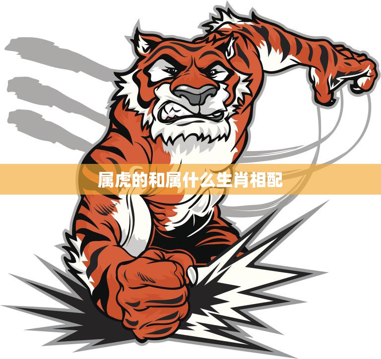属虎的和属什么生肖相配(最佳配对指南)