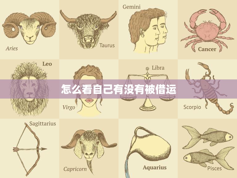 怎么看自己有没有被借运(探究借运现象及应对方法)