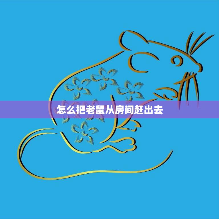 怎么把老鼠从房间赶出去(实用技巧大揭秘)