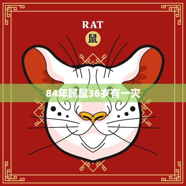 84年属鼠36岁有一灾(如何化解)