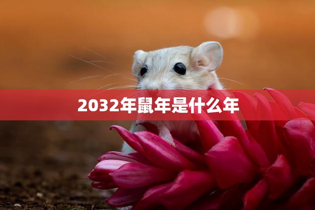 2032年鼠年是什么年(解读未来鼠年的吉凶寓意)