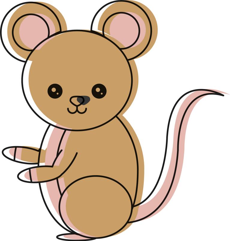 女羊和男鼠相配婚姻如何(幸福的秘诀)