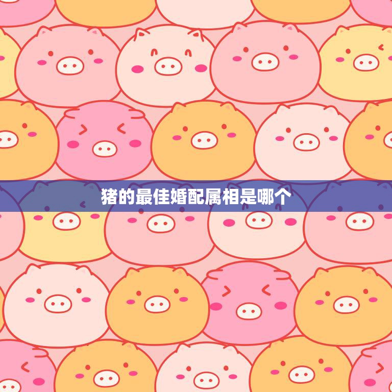 猪的最佳婚配属相是哪个(如何选择最佳配偶)