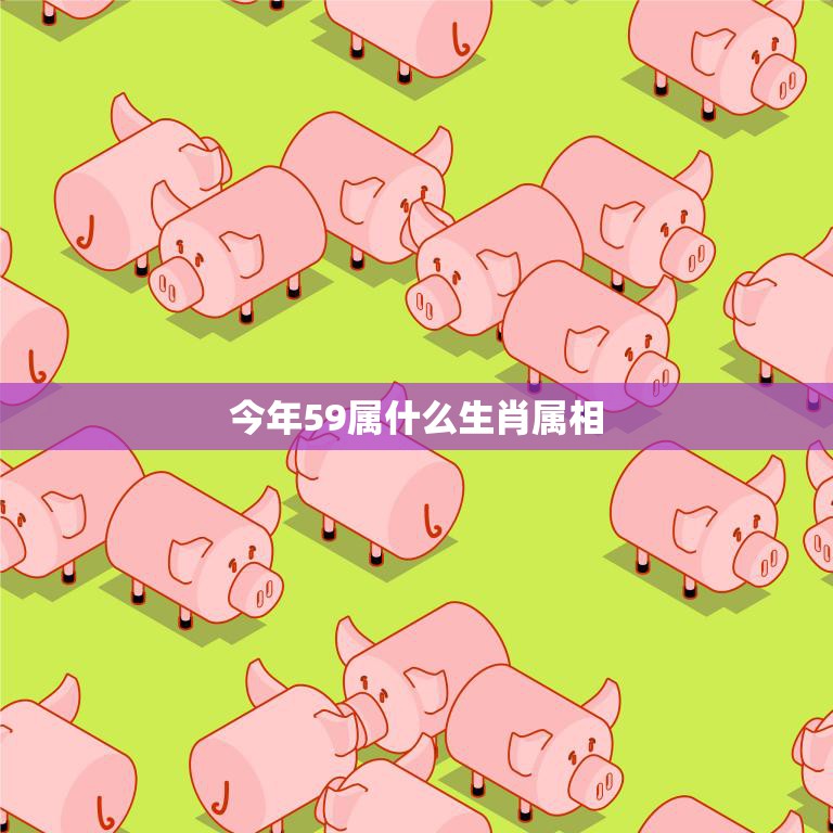 今年59属什么生肖属相(2023年属猪人的运势如何)