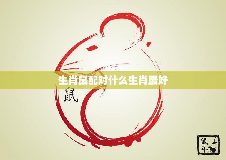 生肖鼠配对什么生肖最好(最佳配对指南)