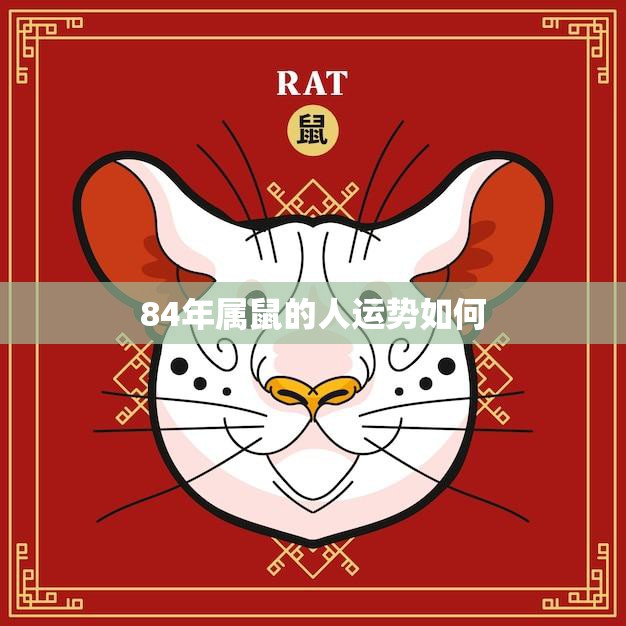 84年属鼠的人运势如何(2023年运势大揭秘)