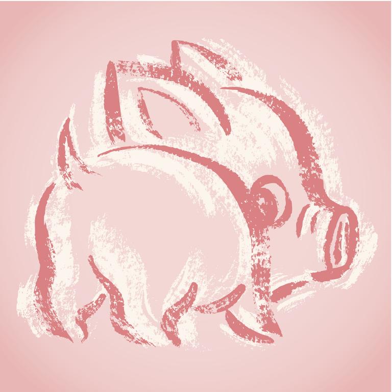 猪最配的属相是什么男人(揭秘哪些男人最适合和猪组成一对)