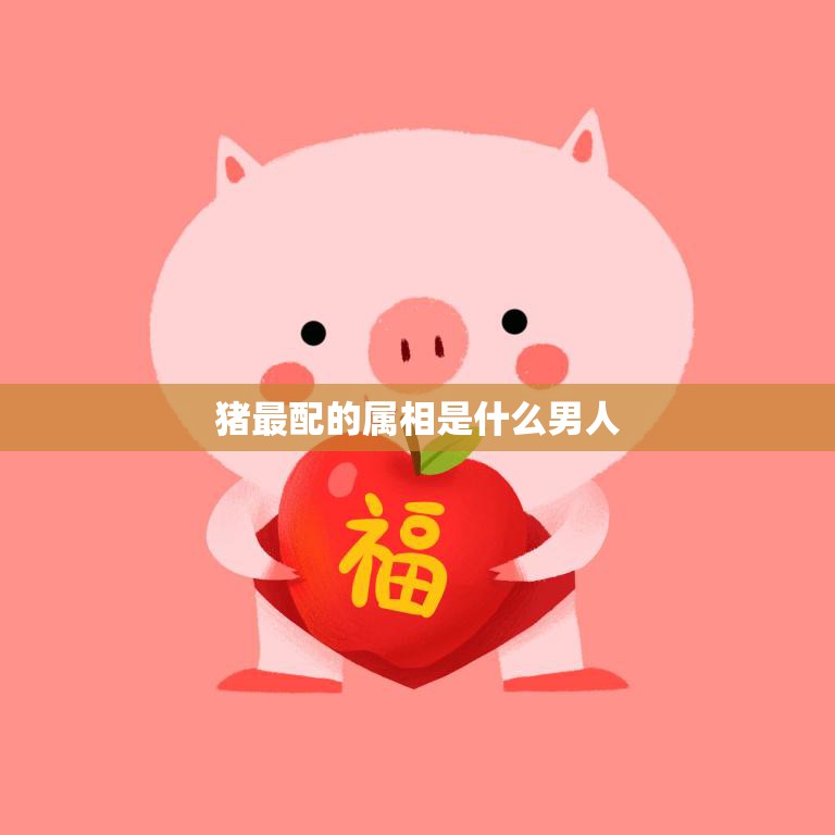 猪最配的属相是什么男人(揭秘哪些男人最适合和猪组成一对)