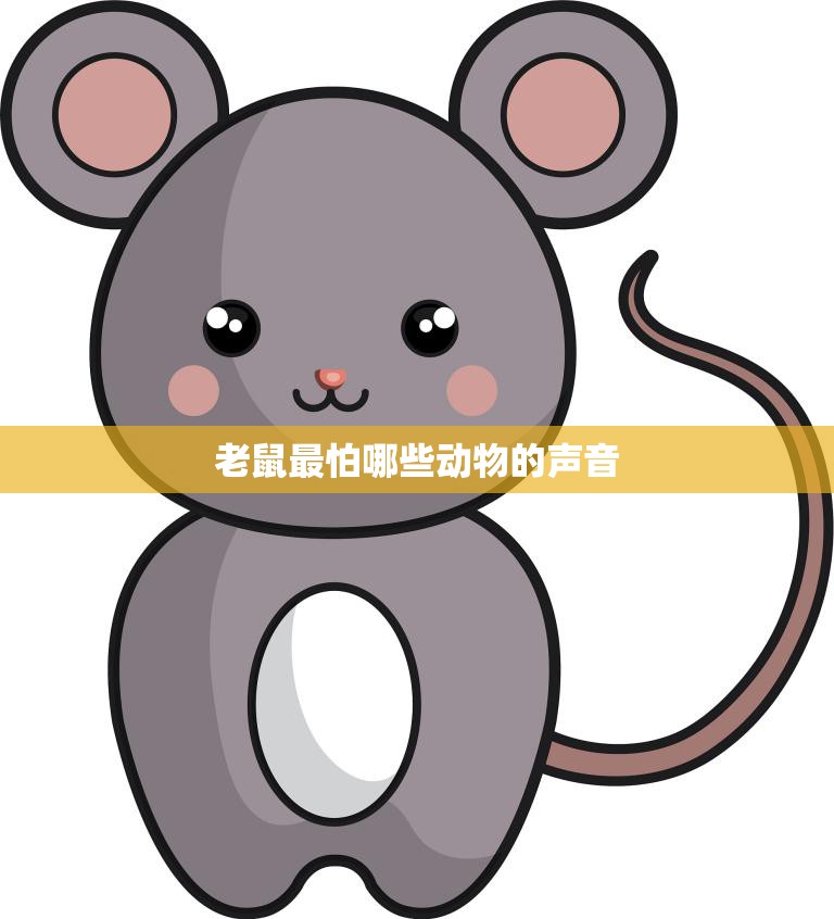 老鼠最怕哪些动物的声音(揭秘老鼠的天敌)