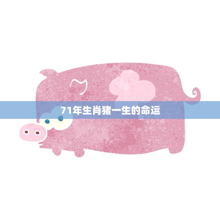 71年生肖猪一生的命运(如何影响其事业和财富)