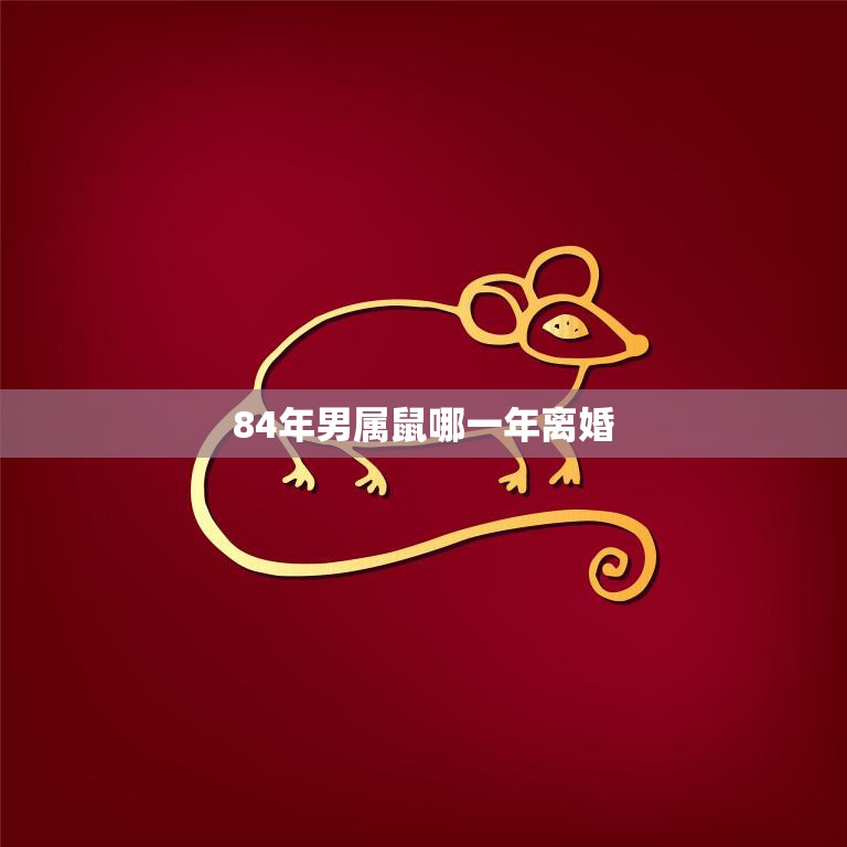 84年男属鼠哪一年离婚(解析属相影响婚姻稳定性)