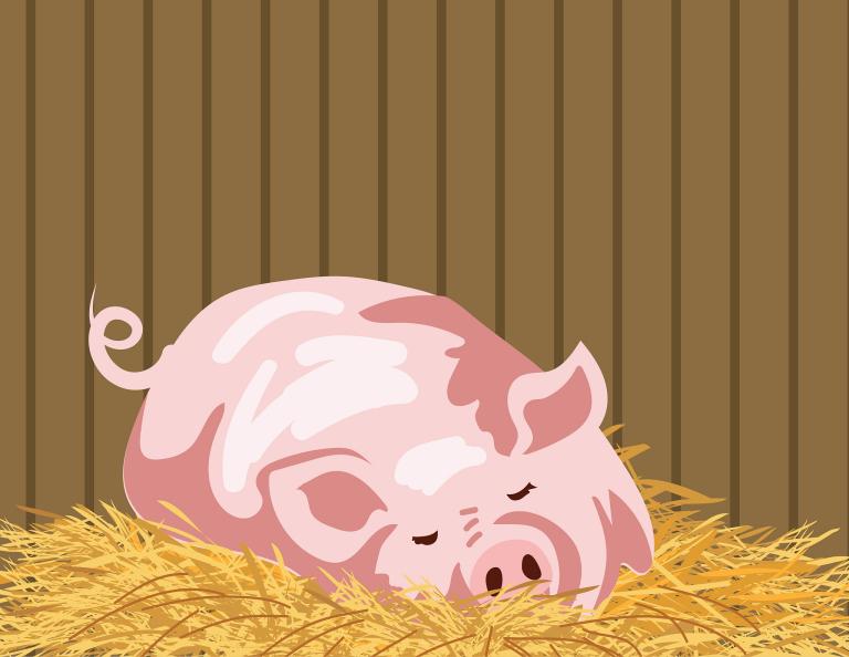 07猪女2023年运势(财运亨通事业顺利感情)