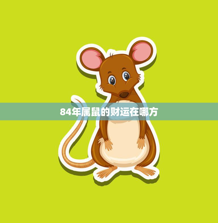 84年属鼠的财运在哪方(如何把握财富机会)