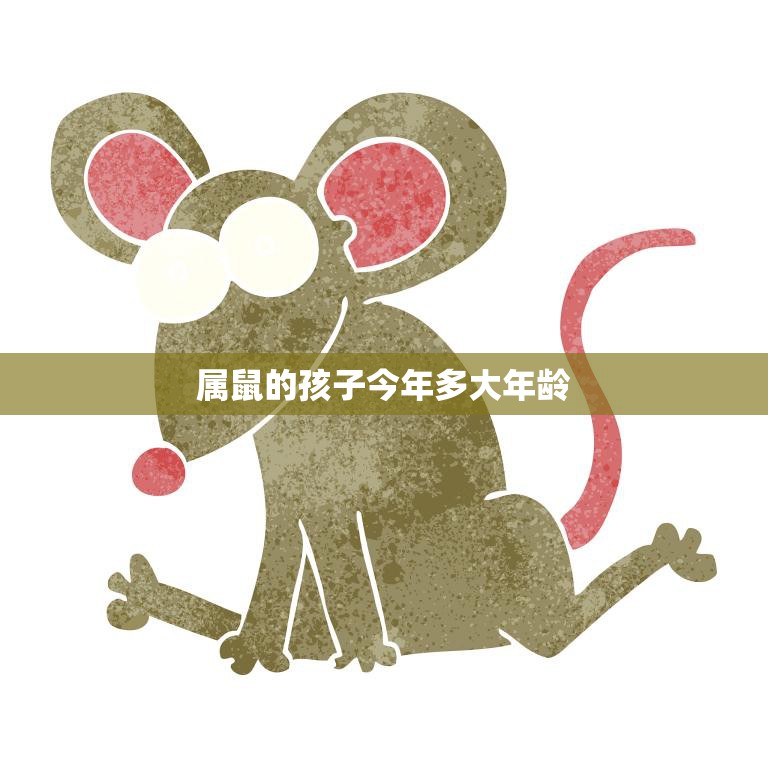 属鼠的孩子今年多大年龄(解密属鼠宝宝的成长秘密)