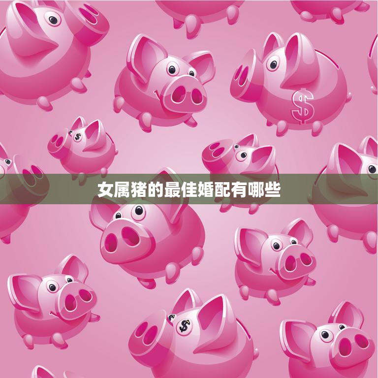 女属猪的最佳婚配有哪些(如何选择最适合的伴侣)