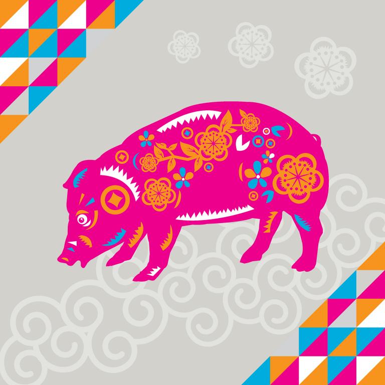 属猪的今日运势查询财运(财运亨通财源滚滚来)