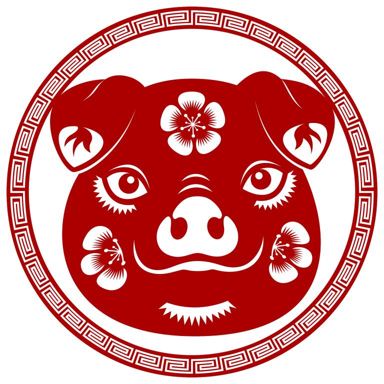 属猪的40多岁哪年出生(猪年生肖解析)