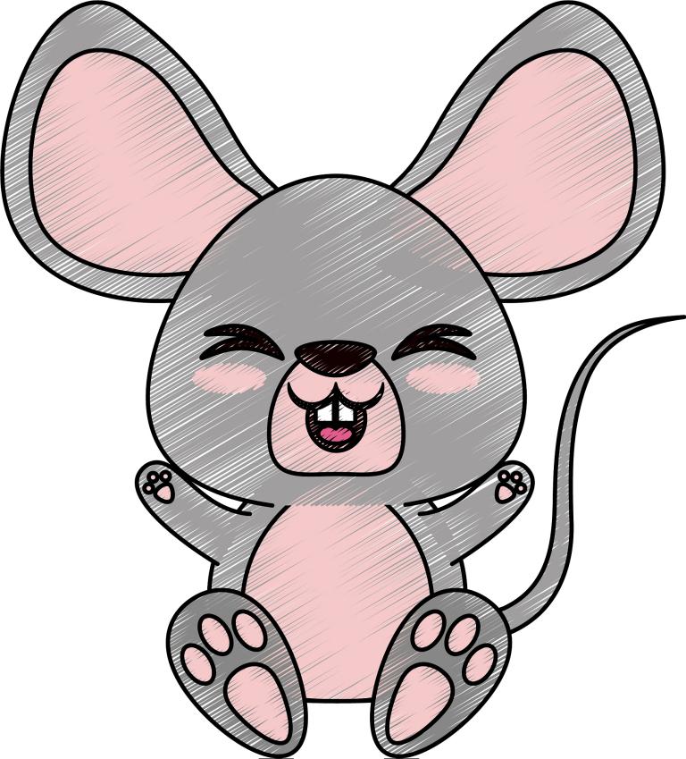 鼠女容易爱上哪个生肖男(揭秘十二生肖配对奥秘)