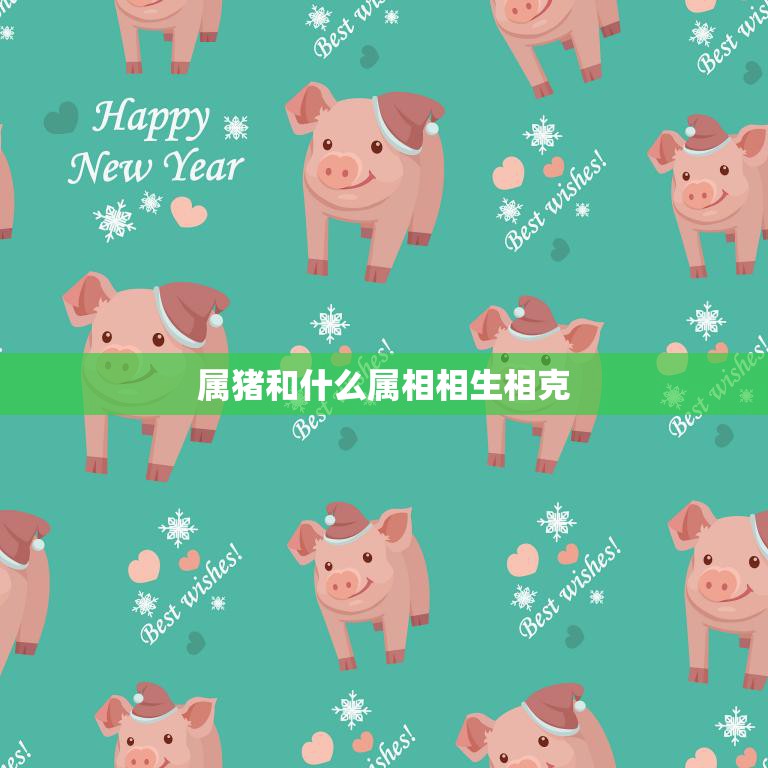 属猪和什么属相相生相克(如何避免冲突)