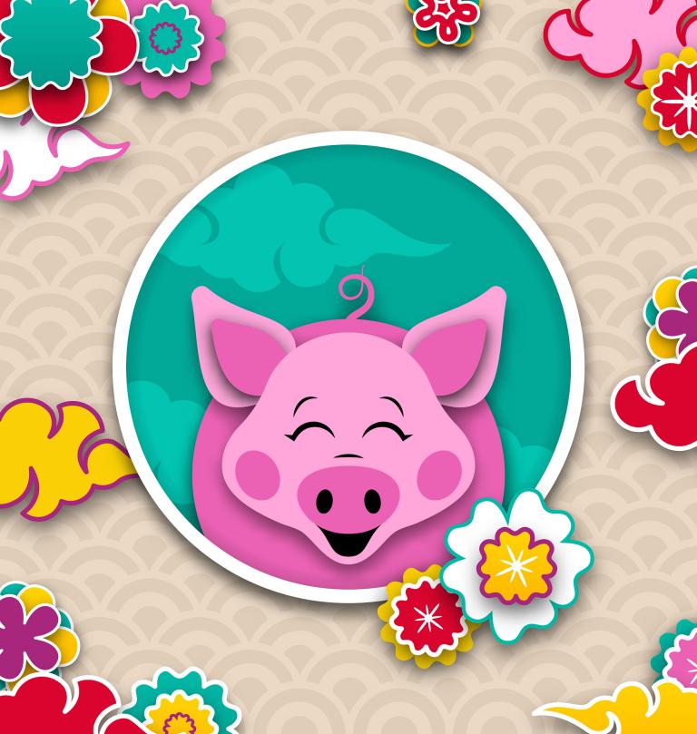 运势2023年属猪运势(猪年大吉财运亨通)