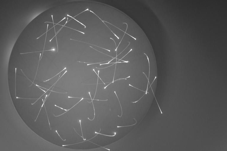 2023年的运势及运程(顺风顺水财源滚滚)