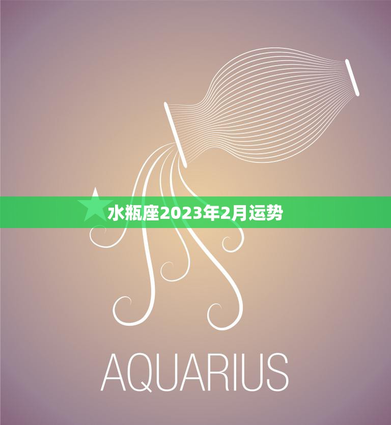 水瓶座2023年2月运势(事业稳步上升财运亦旺盛)