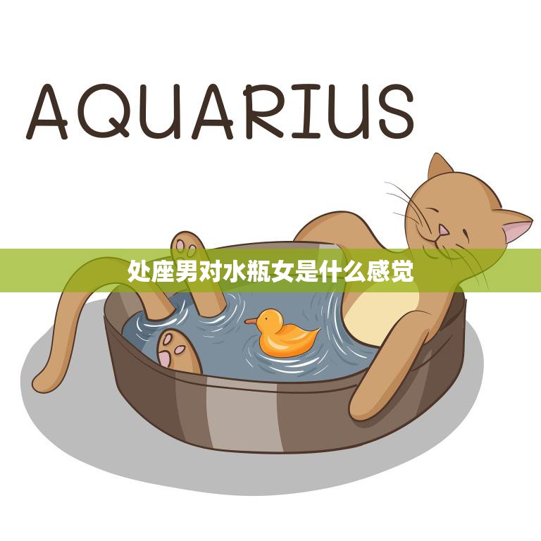 处座男对水瓶女是什么感觉(星座配对解析)