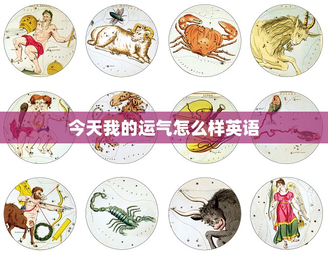 今天我的运气怎么样英语(探究运气背后的真相)