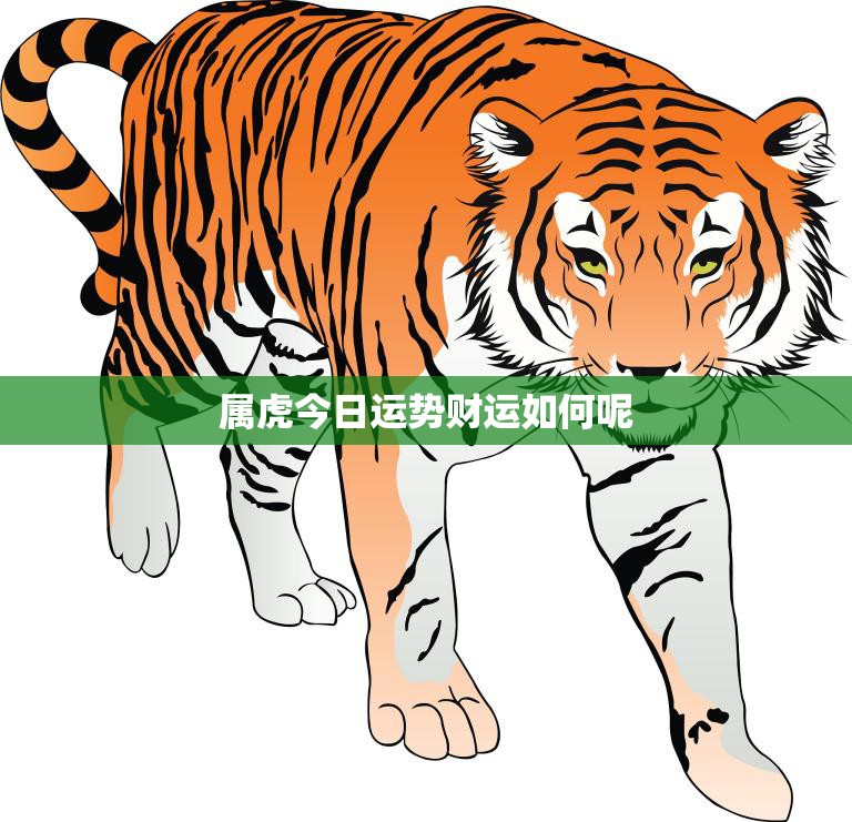 属虎今日运势财运如何呢(财运亨通好事连连)