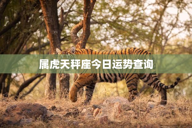 属虎天秤座今日运势查询(幸运之星正高照)