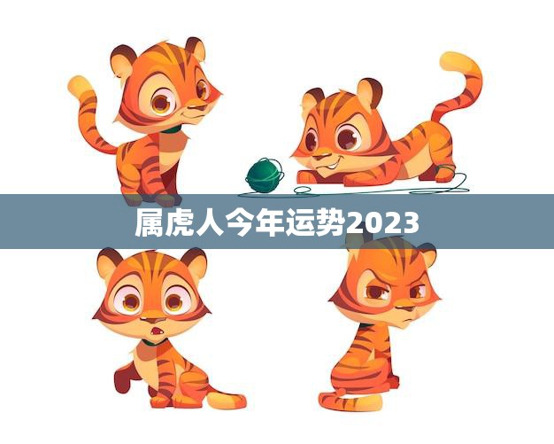 属虎人今年运势2023(好运连连财源滚滚)