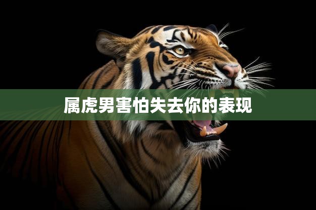 属虎男害怕失去你的表现(如何看出他对你的重视)