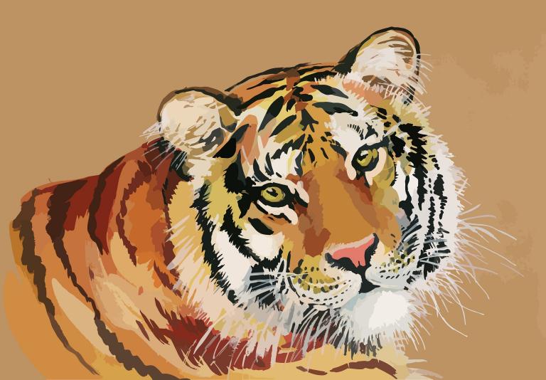 属虎的今年命运好不好呢(解析2023年属虎人的运势如何)