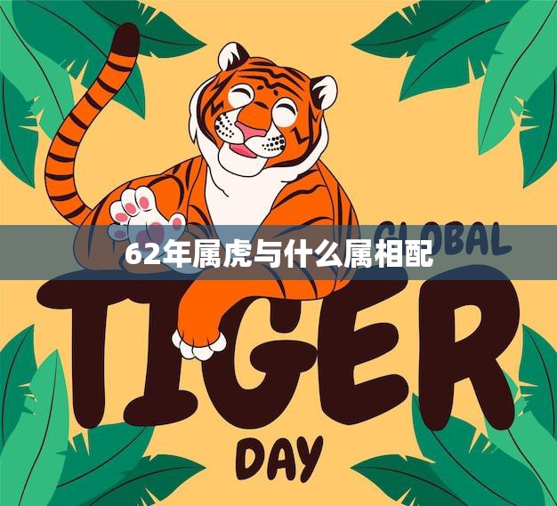 62年属虎与什么属相配(最佳配对解析)