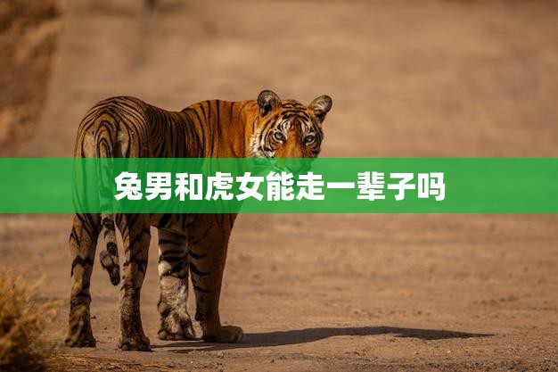 兔男和虎女能走一辈子吗(星座配对分析)