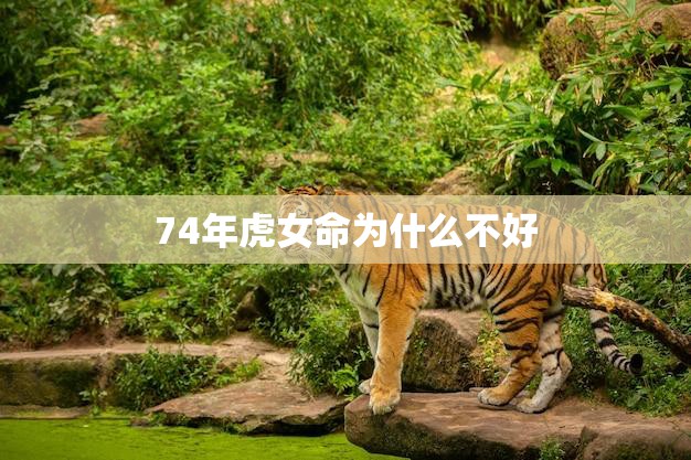 74年虎女命为什么不好(探究命理学的解读与现实生活的表现)