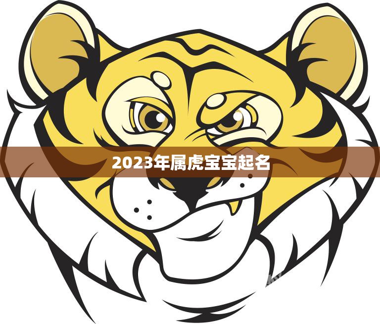 2023年属虎宝宝起名(如何选择适合的名字)