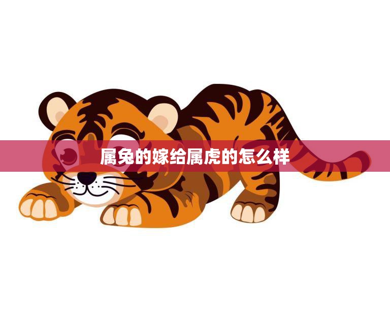 属兔的嫁给属虎的怎么样(幸福的婚姻秘诀)