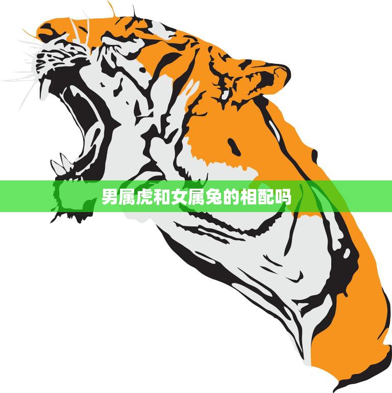 男属虎和女属兔的相配吗(如何看待这对组合)
