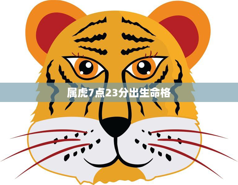 属虎7点23分出生命格(解析运势如何)