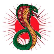 属蛇的最佳婚配属相排行(找到最佳的配偶)